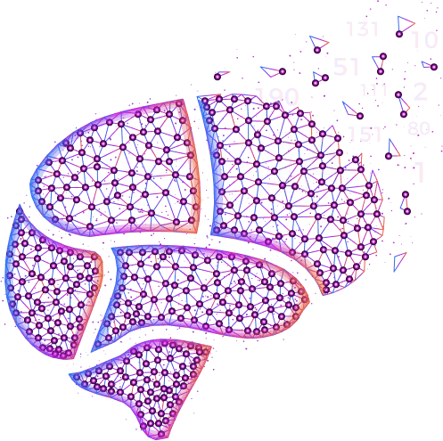 brain